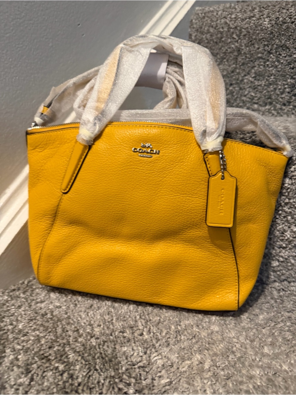 Coach Mini / medium  Kelsey Satchel Crossbody Bag